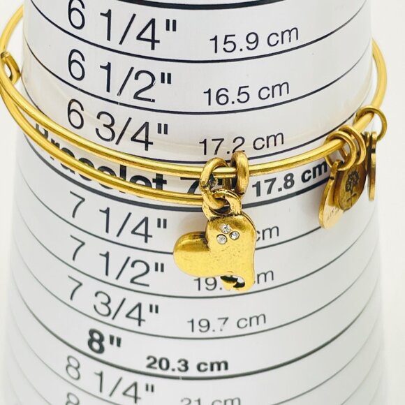 Heart Charm Bracelet ALEX AND ANI Signed Devilish Tail Gold Tone Bangle - Picture 3 of 6